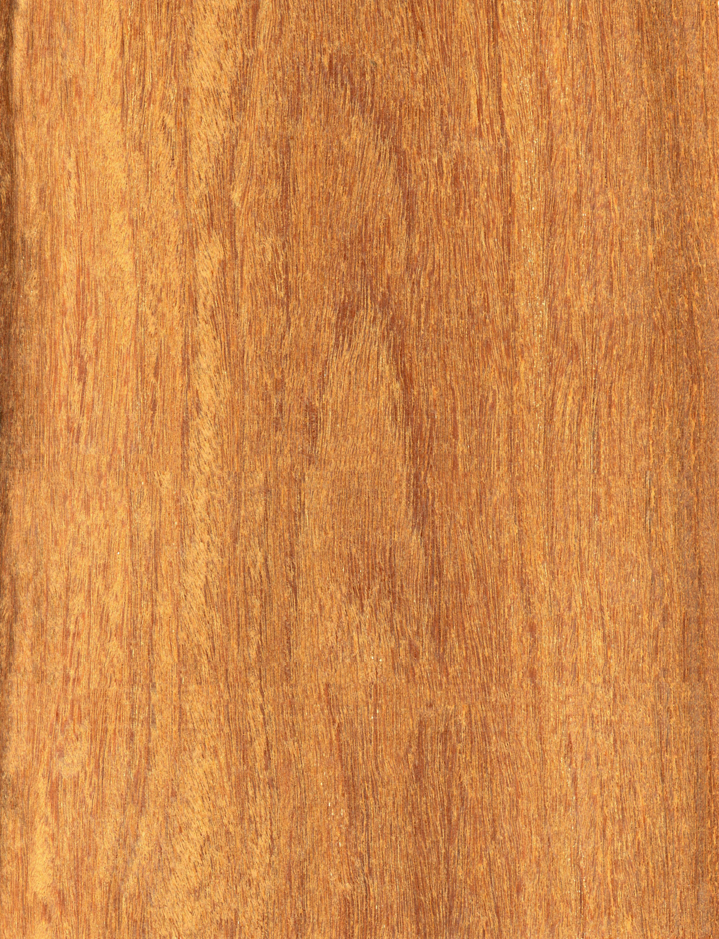CUMARU | M. Bohlke Corp. | Veneer and Lumber