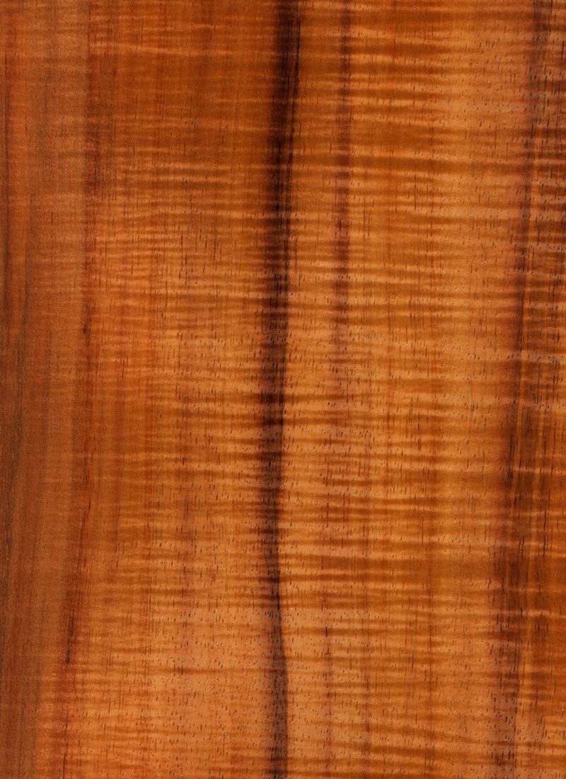 Curly Figured Koa Wood Veneer 5.5 '' W x 105 '' L x 1/42'' Thickness **NEW SIZE*