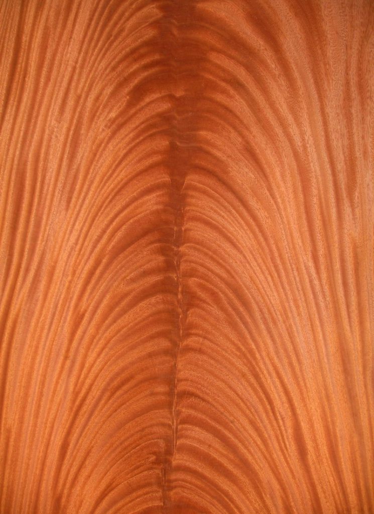 mahogany plate book image