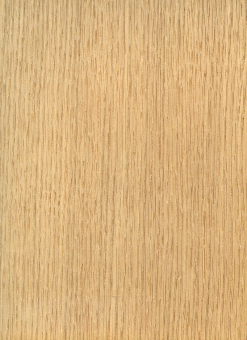 white oak texture