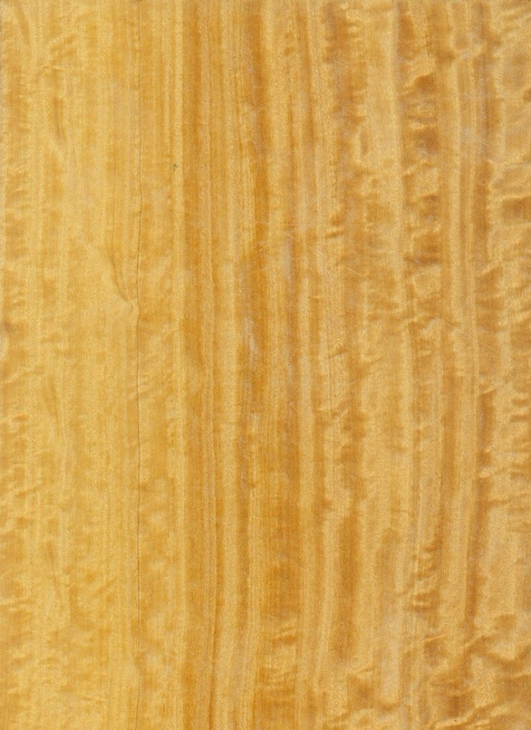 satinwood wood veneer