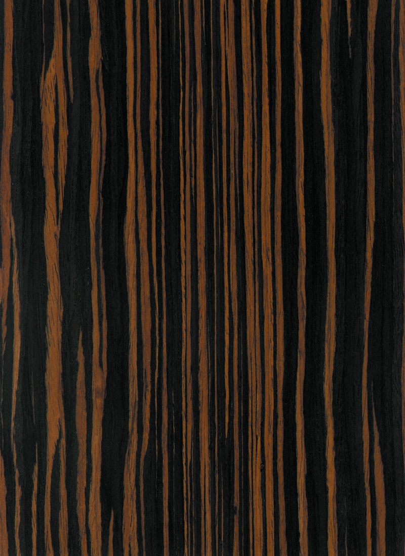 Macassar ebony wood veneer