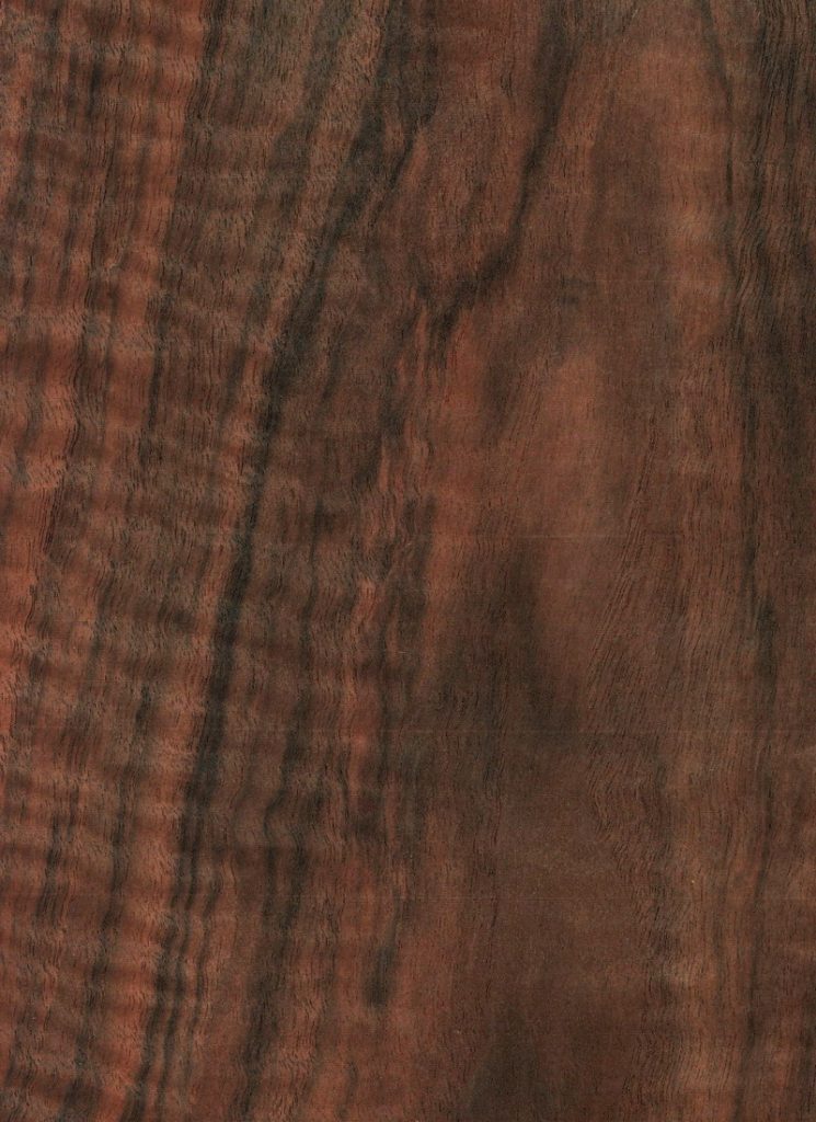 walnut circassian flat cut fiddleback wood veneer