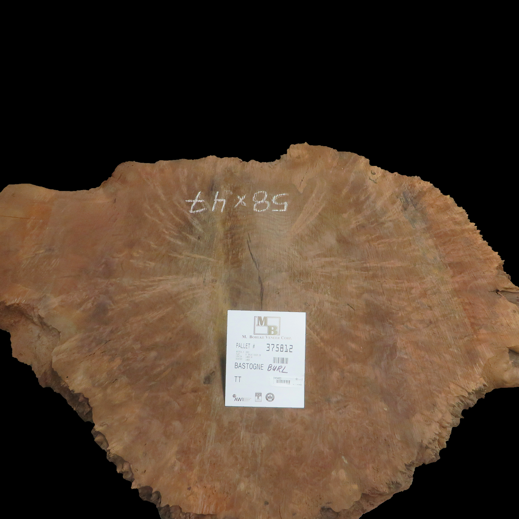 Bastogne Burl