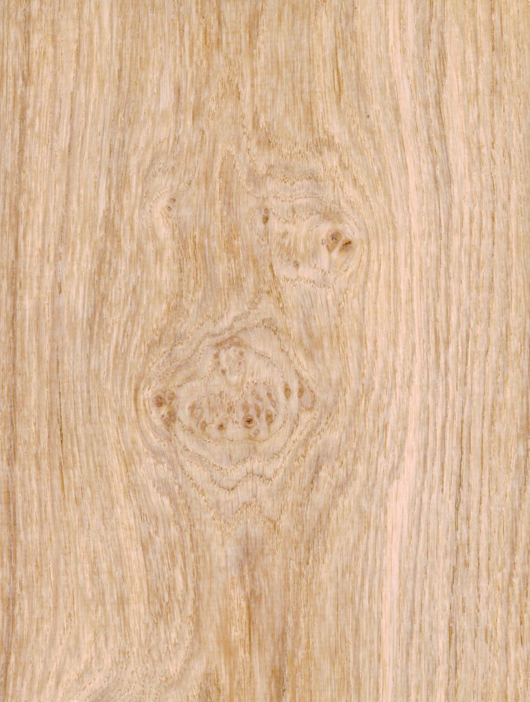 pippy oak flat cut wood veneer