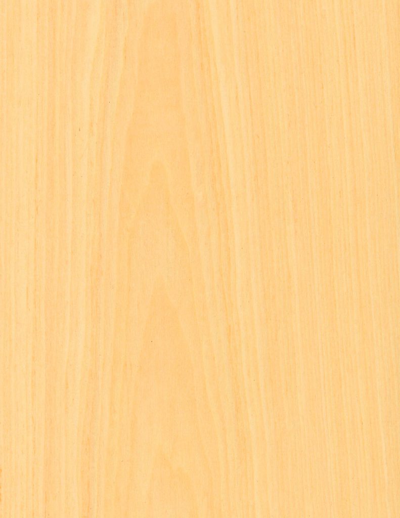maple vtec flat cut wood veneer recon reconstituted