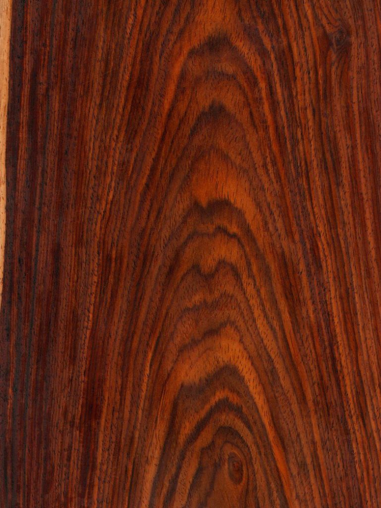 Rosewood Cocobolo flat cut wood veneer swatch with nice contrast.