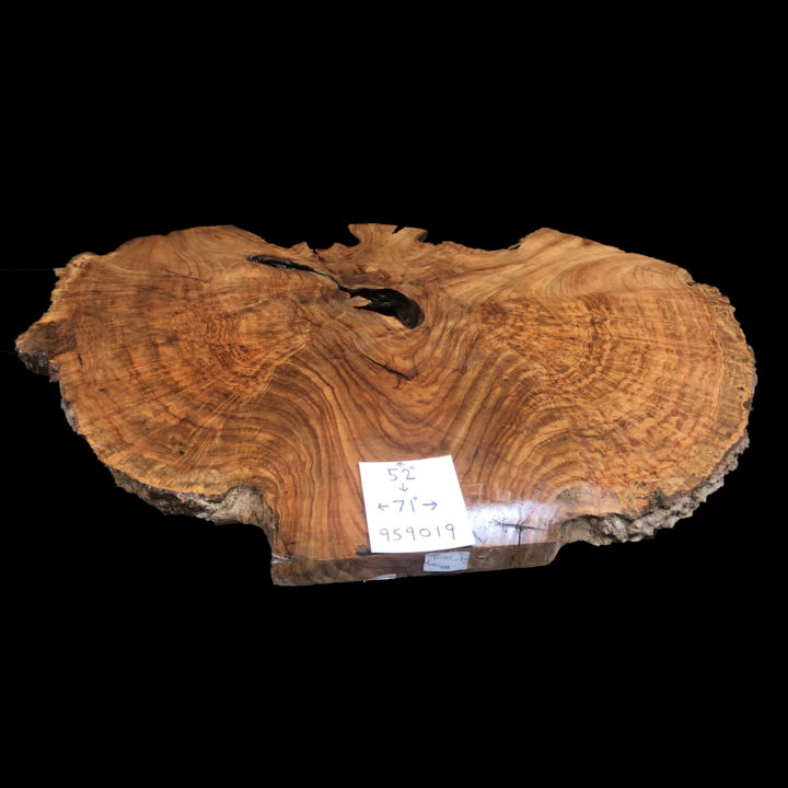 Camphor Burl Lumber