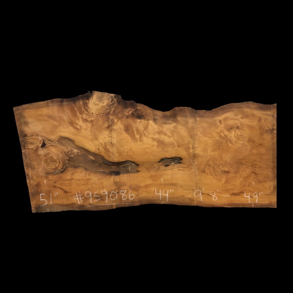 Cedar Lebanon live edge slab #401751-959086