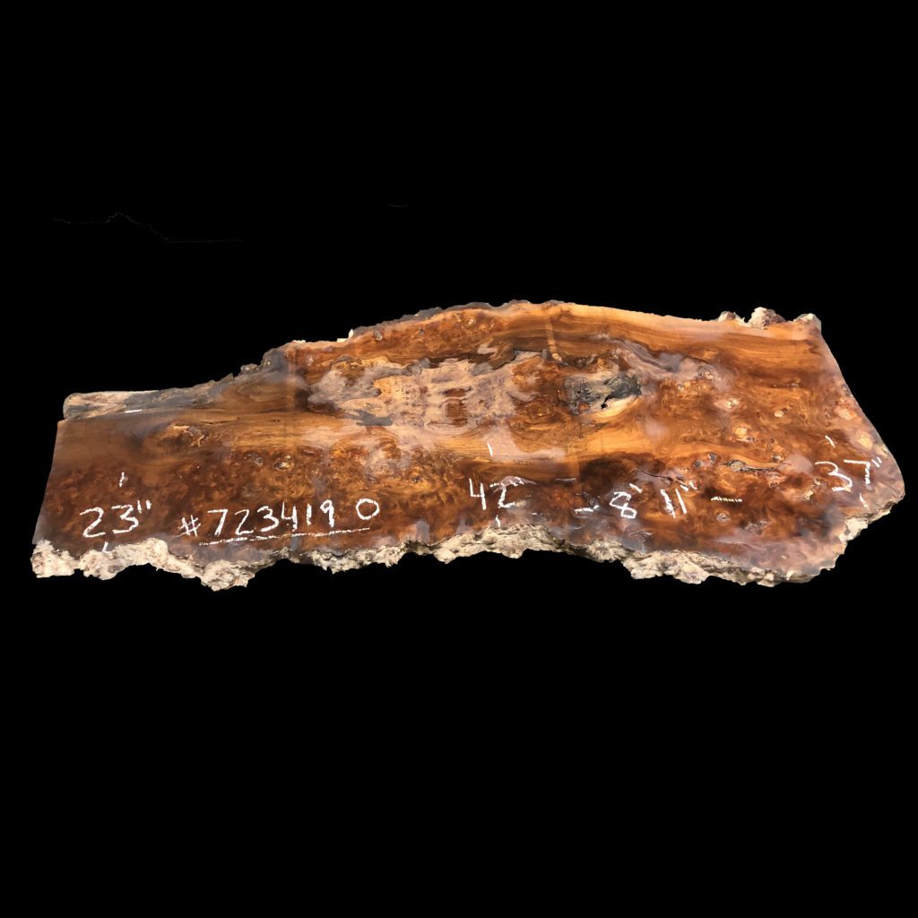 Carpathian Elm Burl live edge slab #403131-723419O