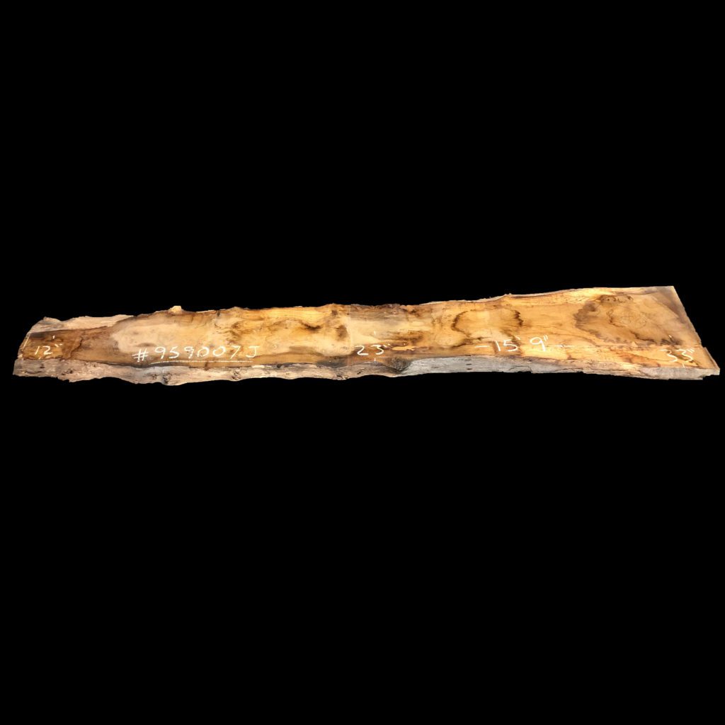 European Oak (English Oak) live edge slab #403096-959007J