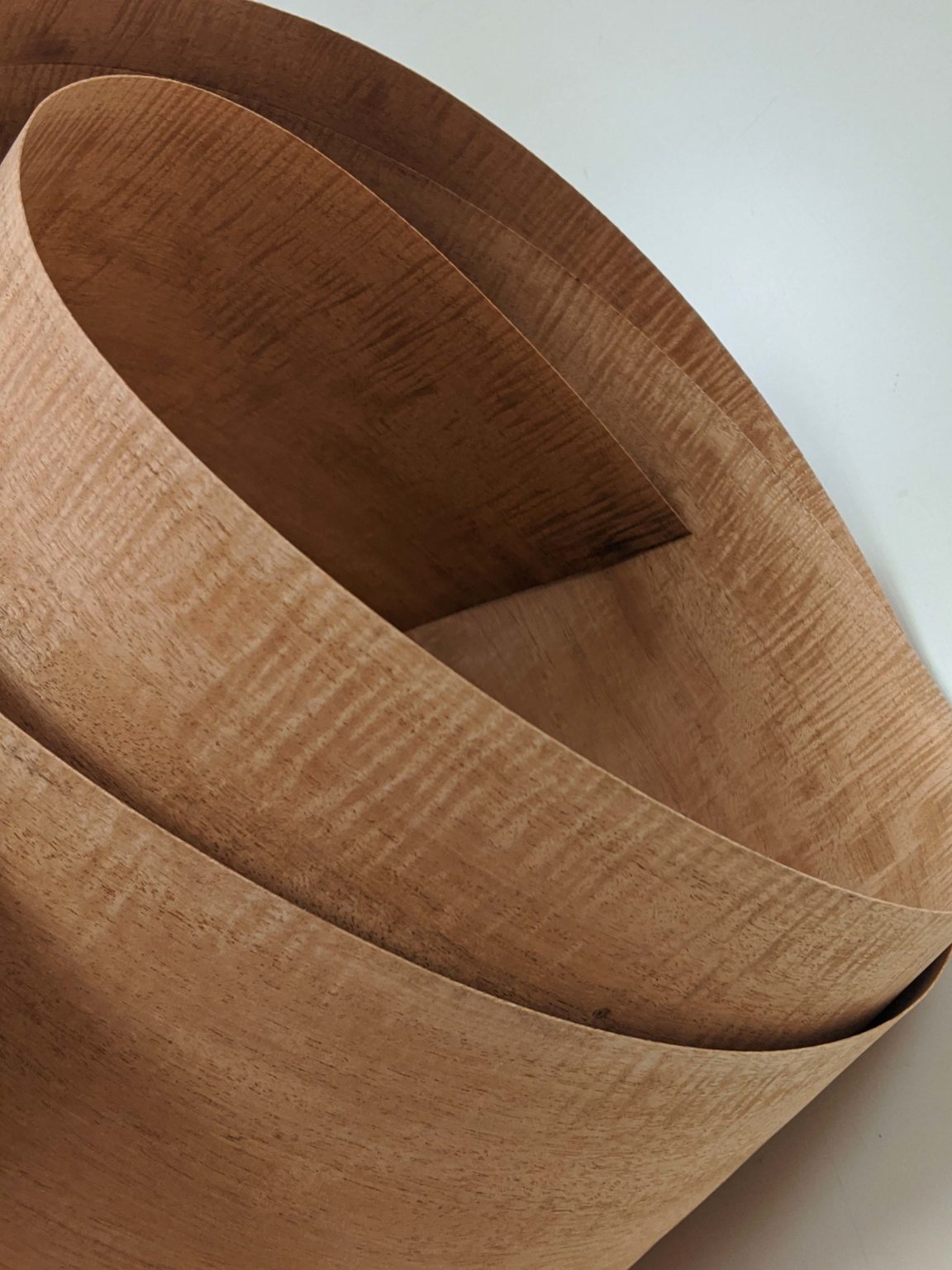 Mahogany wood veneer rolled up to show figure. M. Bohlke Corp. Veneer and Lumber