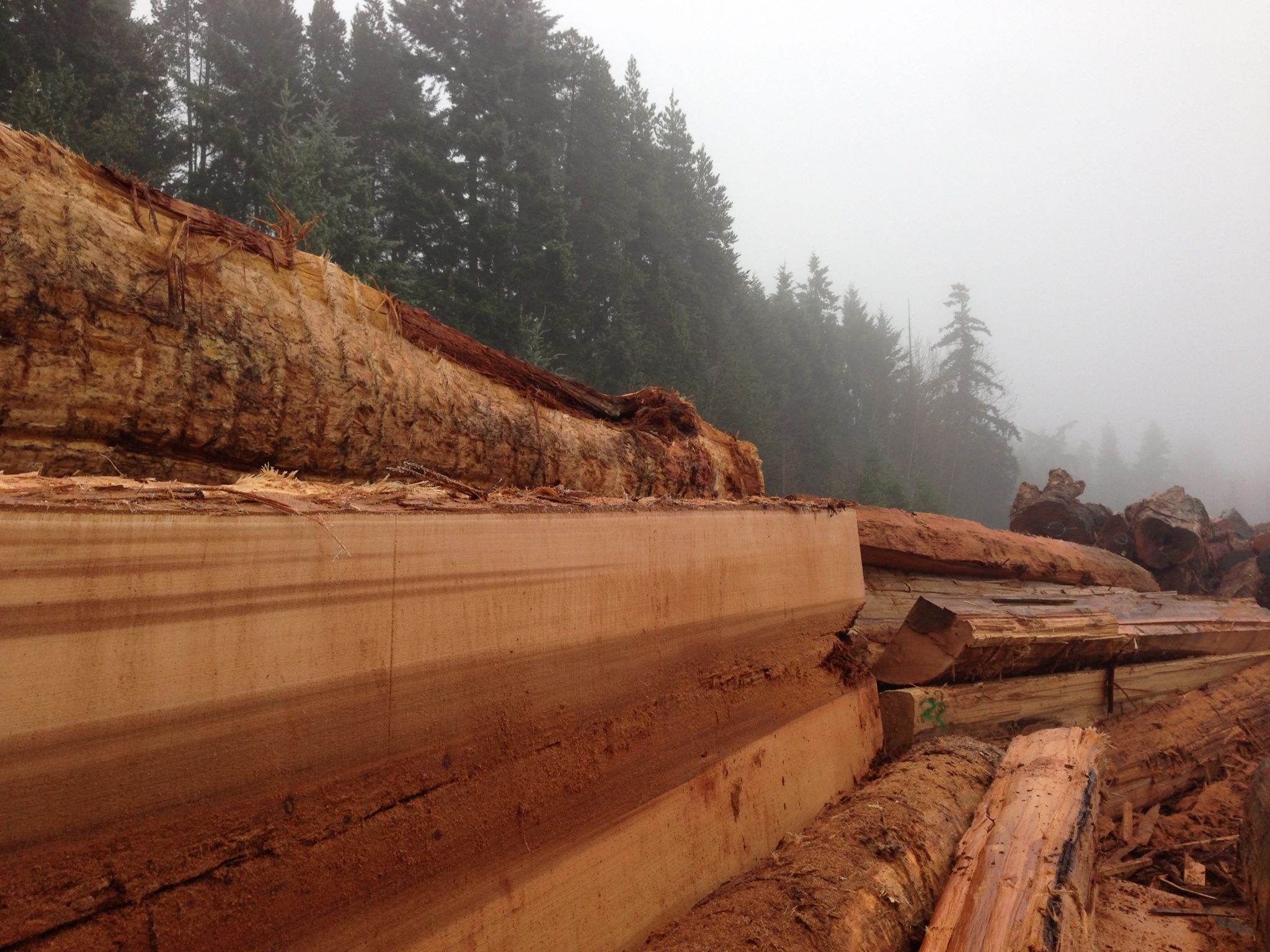 Western Red Cedar Log Yard M Bohlke Corp Veneer And Lumber