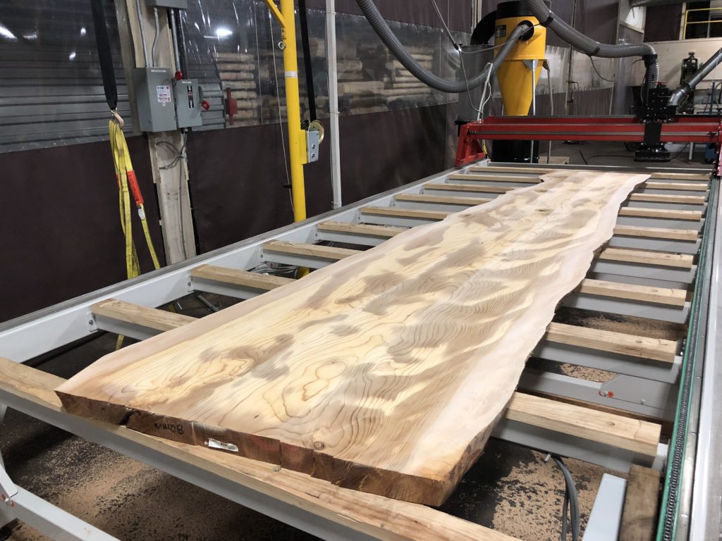 Freshly surfaced Lebanon Cedar live edge slab at M. Bohlke Lumber.