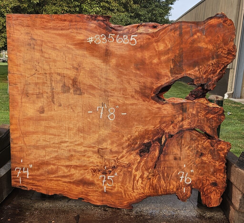 Kauri live edge slab #3697112-835685