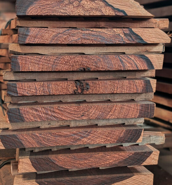 Close-up grain Cocobolo wood lumber.