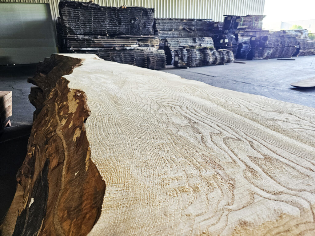 Close-up of European Ash live edge slab grain.