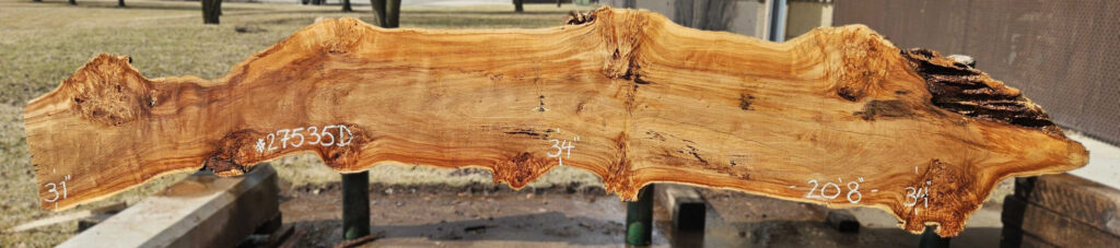 Cottonwood live edge #440248-27535D