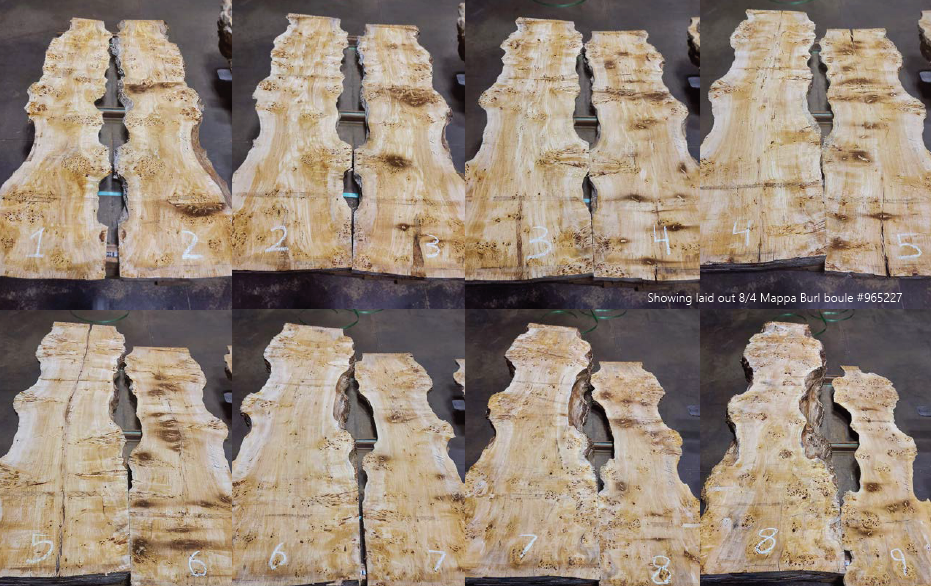 Mappa burl slab laid out